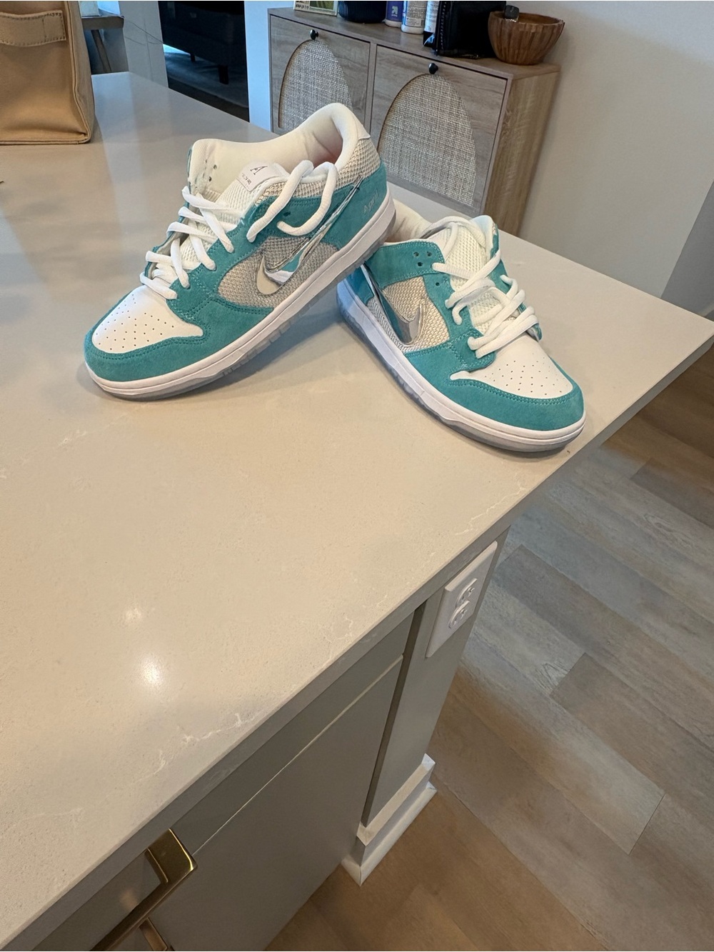 NWOT April Skateboards x Nike SB Dunk Low